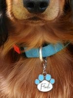 Oznaka za pse s imenom