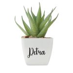 Personalizirana-umjetna-biljka-aloe-ferox