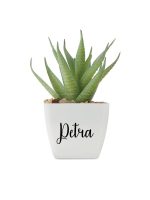 Personalizirana-umjetna-biljka-aloe-ferox